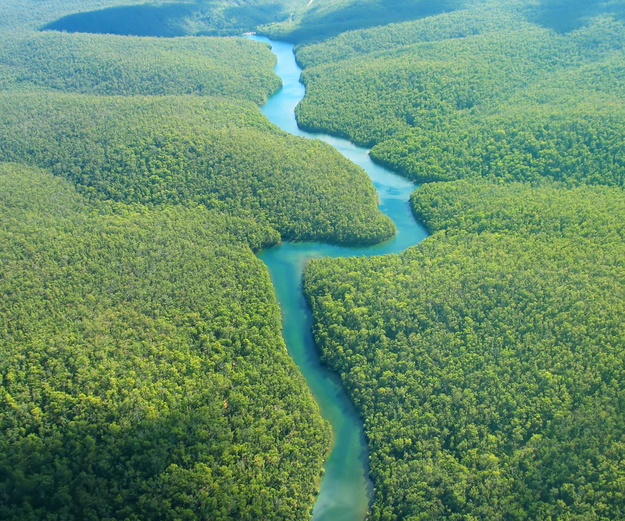 Moda Sustentável • Dia da Amazônia & o nosso projeto de sustentabilidade - Escudero & Co